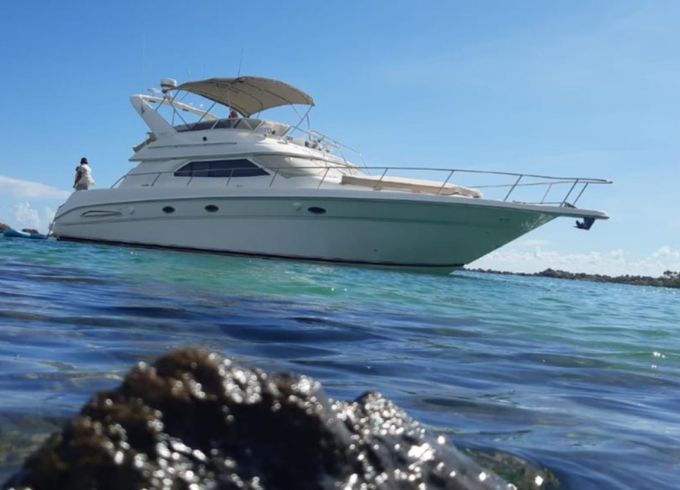 Sea Ray 51'