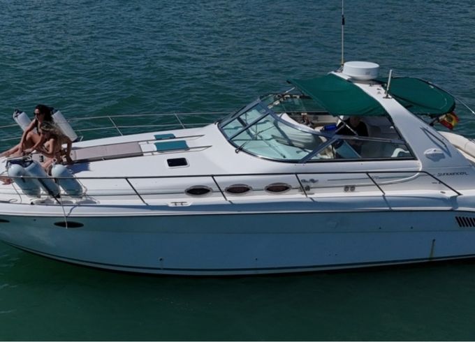 Sea Ray 370 Sundancer