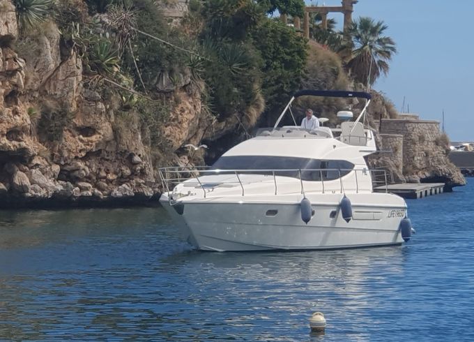 Azimut 36 Fly