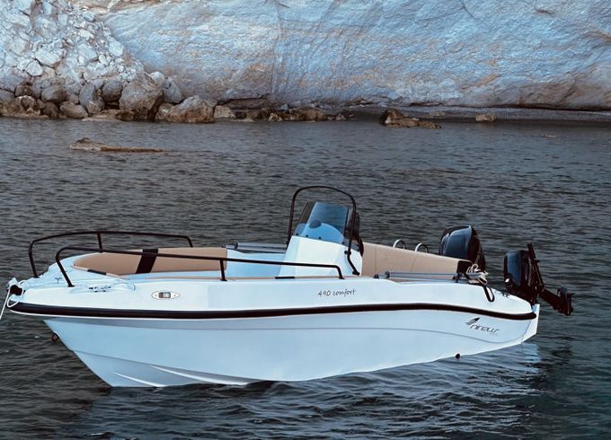 Nireus 490