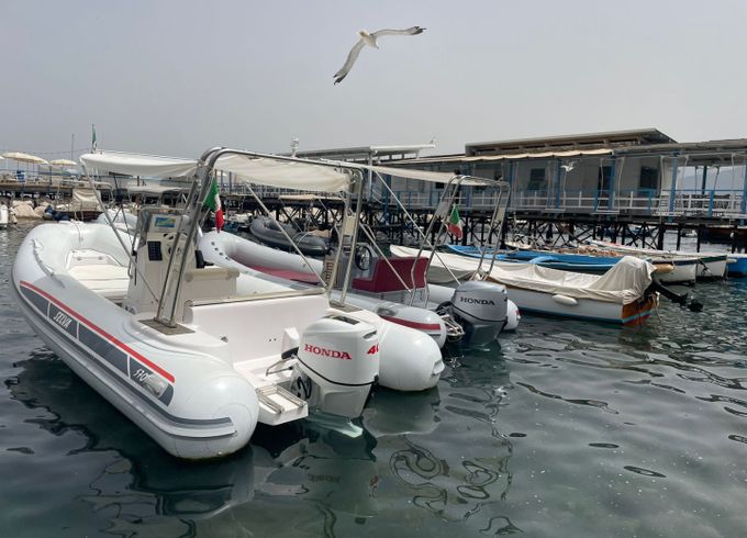 Selva 570 Elegance