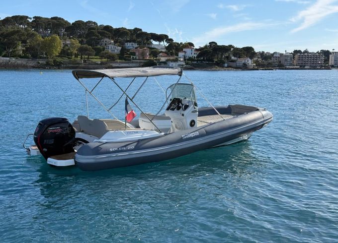 Salpa Soleil 20