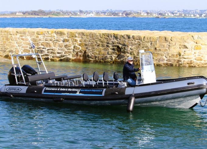 Zeppelin XVPRO 850
