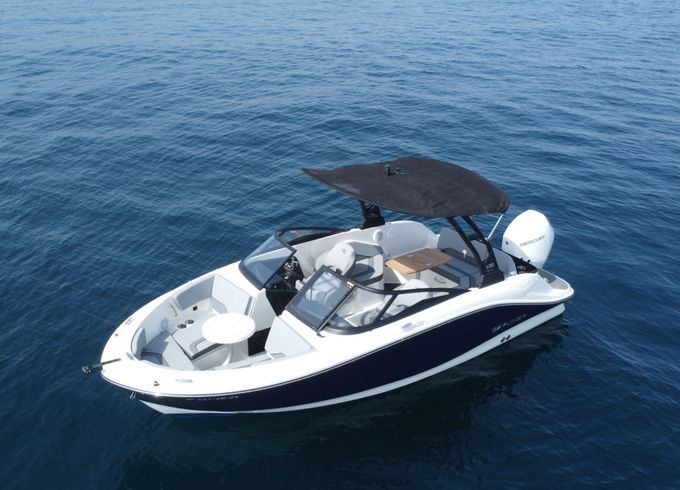 Bayliner v20