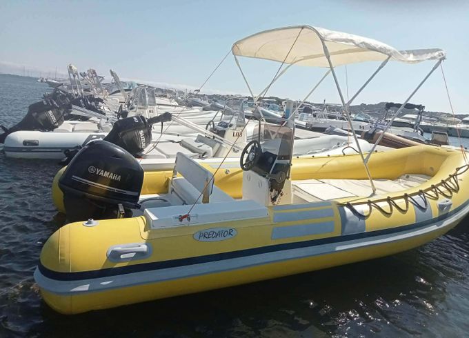 Italboats Predator