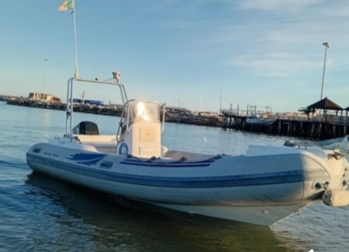 Nuova Jolly King 600
