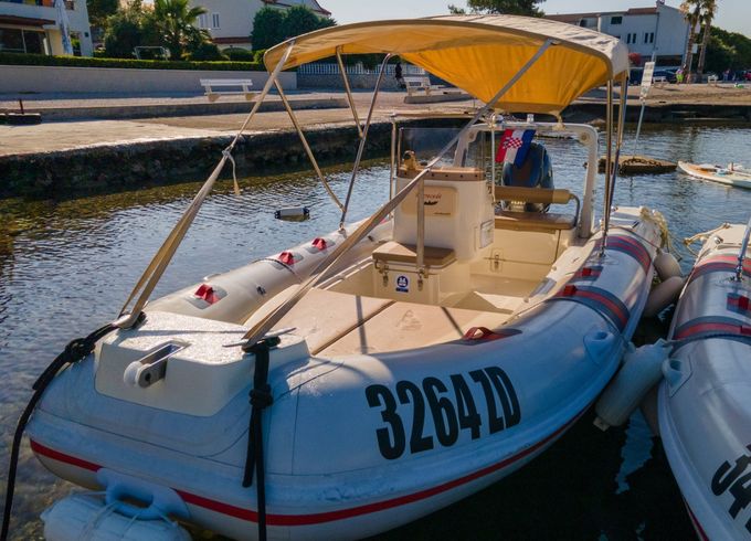 Barracuda 530