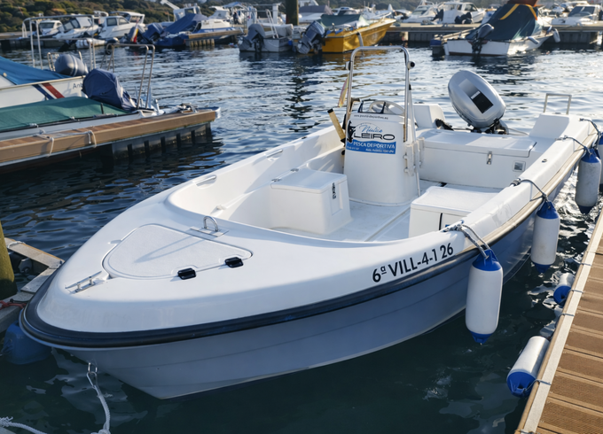 Quicksilver 500 Fish