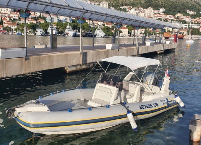 Marlin 20