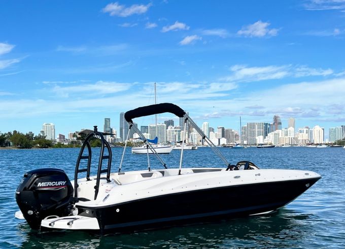Bayliner Element XL
