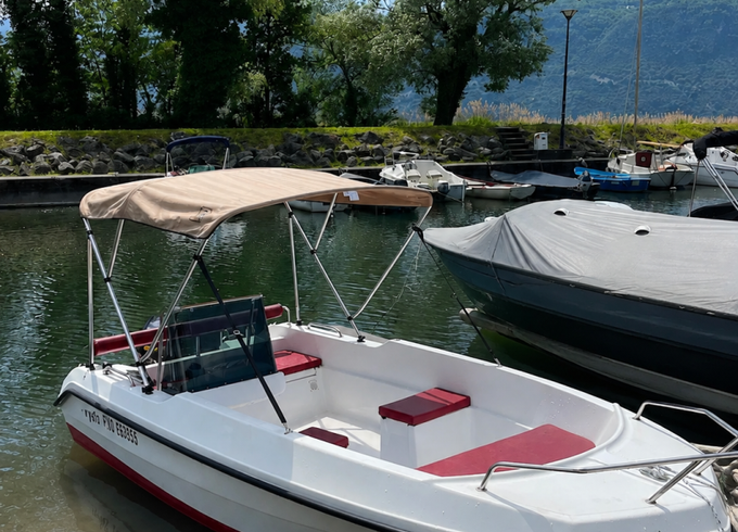 BARTEX Rybi 435