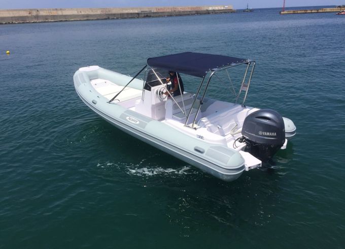 Italboats PREDATOR 730