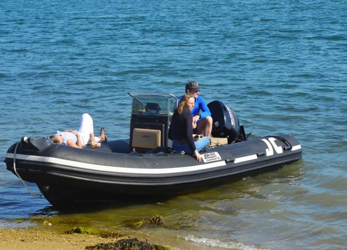Joker Boat JOKER 19