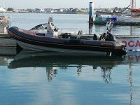 NARWHAL 750