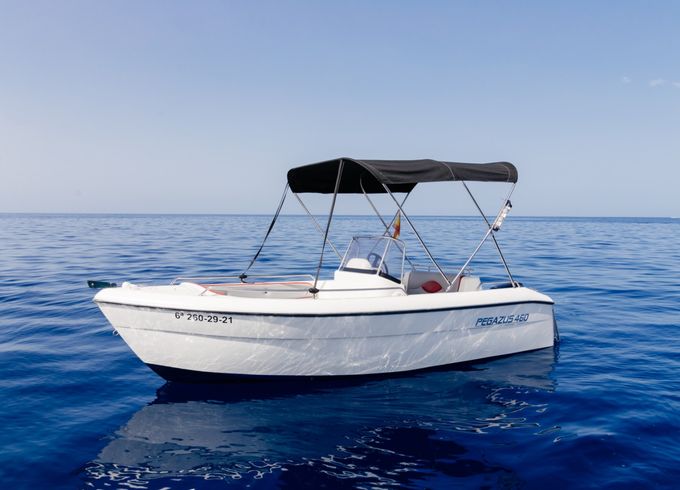 Pegazus 460