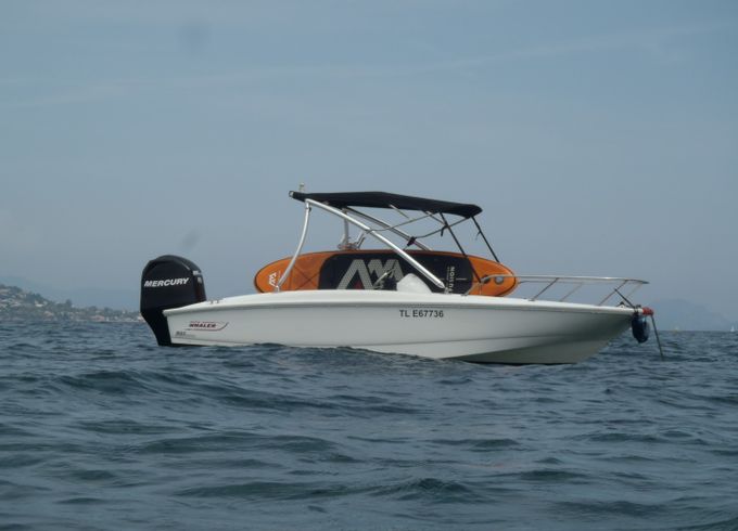 Boston Whaler 170 super sport