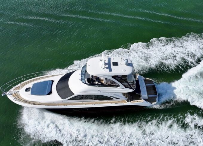 Sea Ray 56