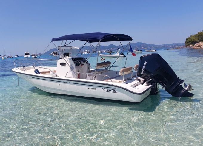 Boston Whaler 220 Dauntless
