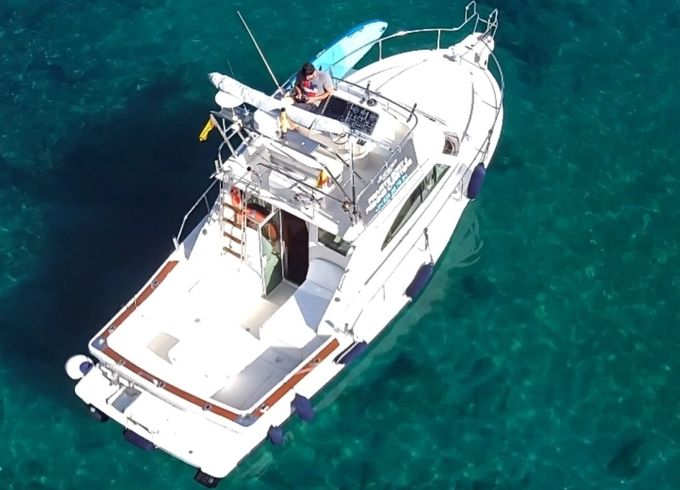 Cayman 30 Fly