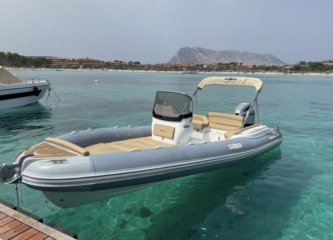 Salpa Soleil 23