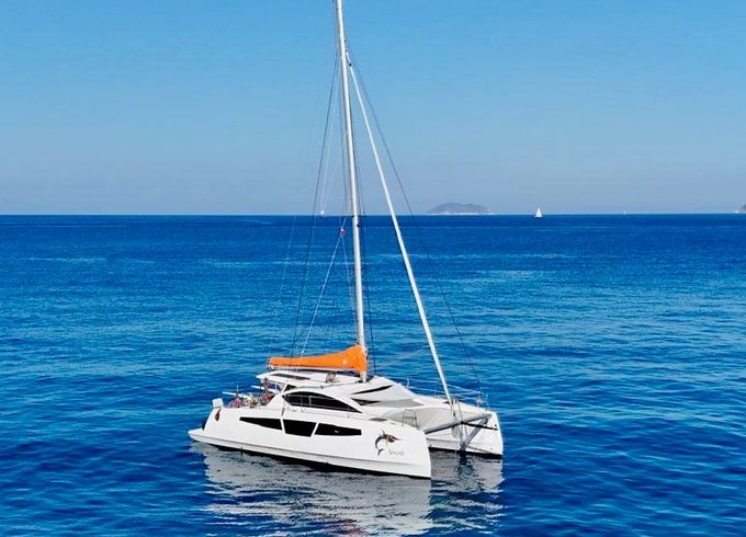 C-cat 37