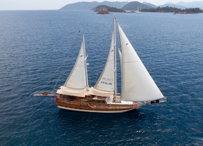 Custom Made Ceylan