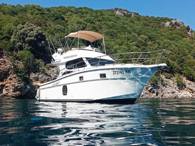Altair Zafir 42