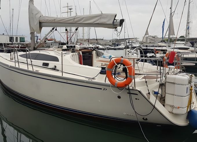 Delphia 40.3