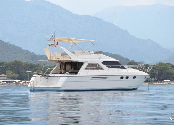 Princess 50