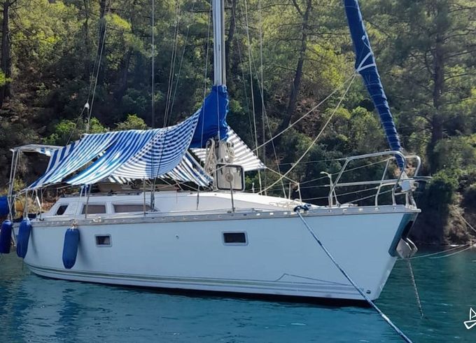 Sundance Sailboat