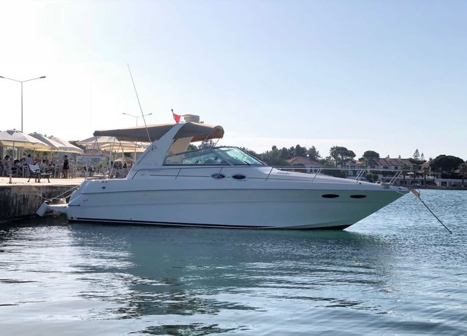 Searay Sundancer