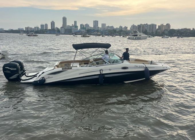 Sea Ray SDX 290
