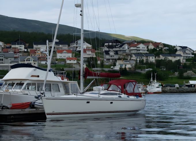 Delphia 40