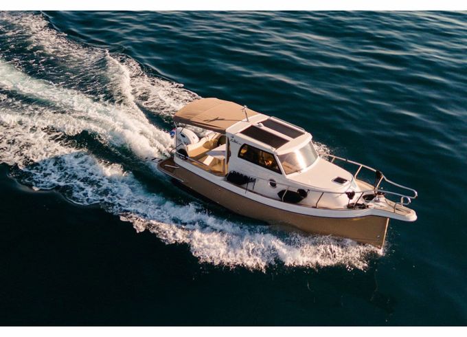 Leidi 660