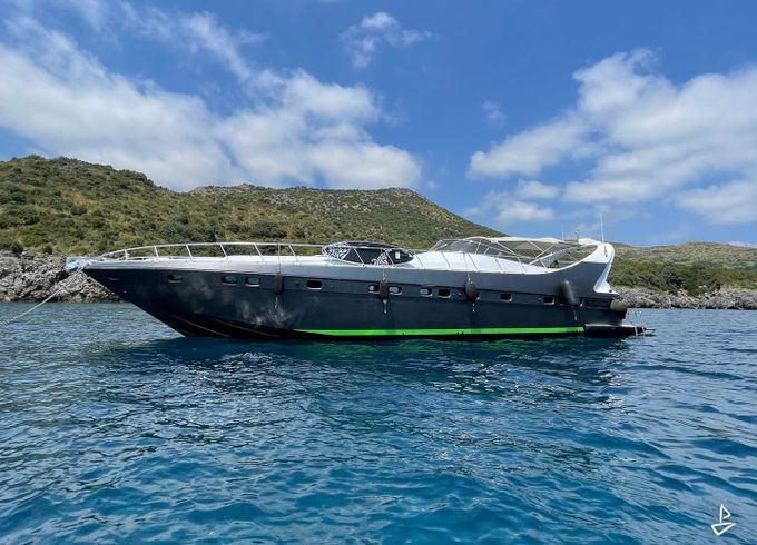 Mangusta 65