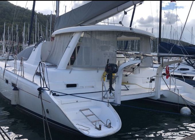Leopard 43