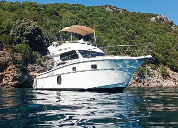 Altair Zafir 42