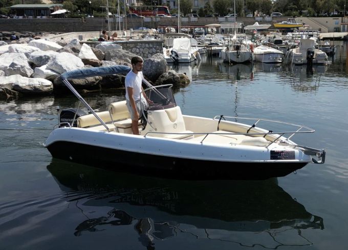 Bellingardo 550