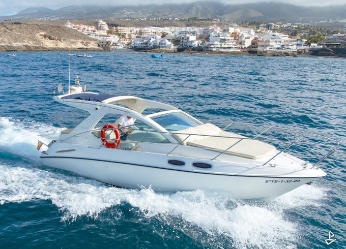 Sealine SC29