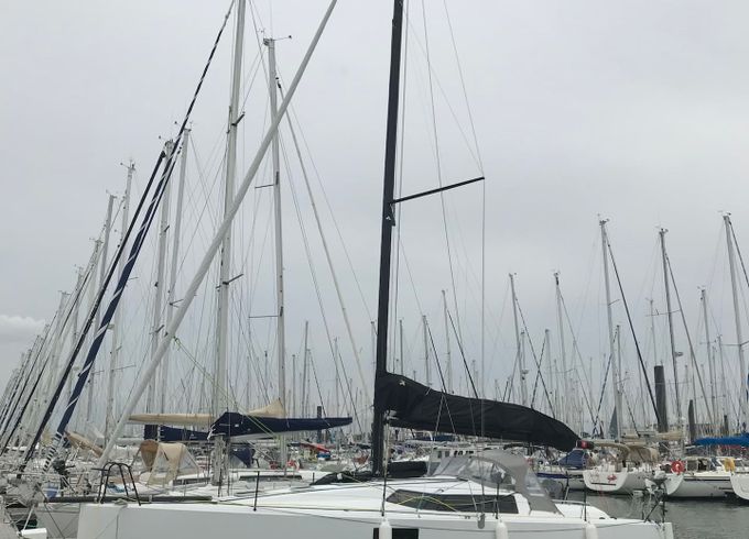 Pogo 36