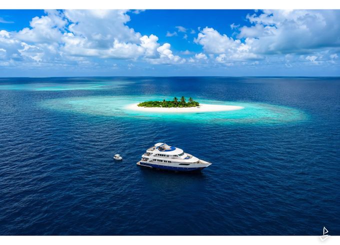 Custom Made Motoryacht