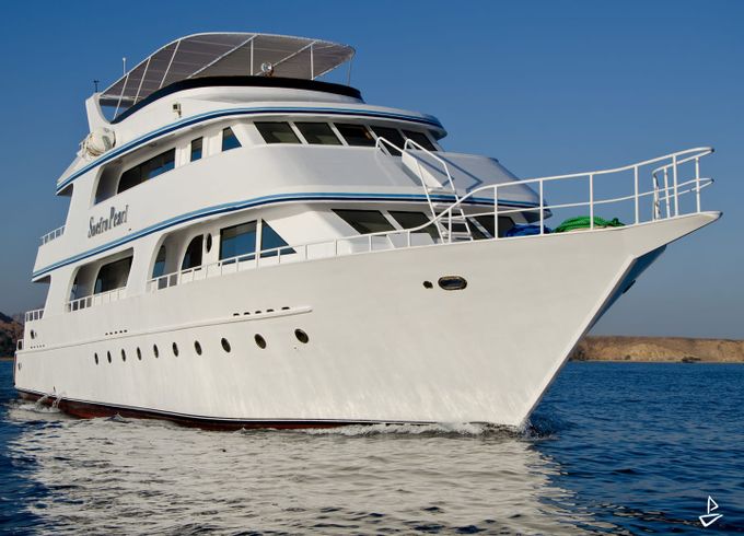 Custom Made Motoryacht
