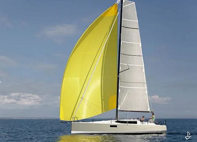 Pogo 36