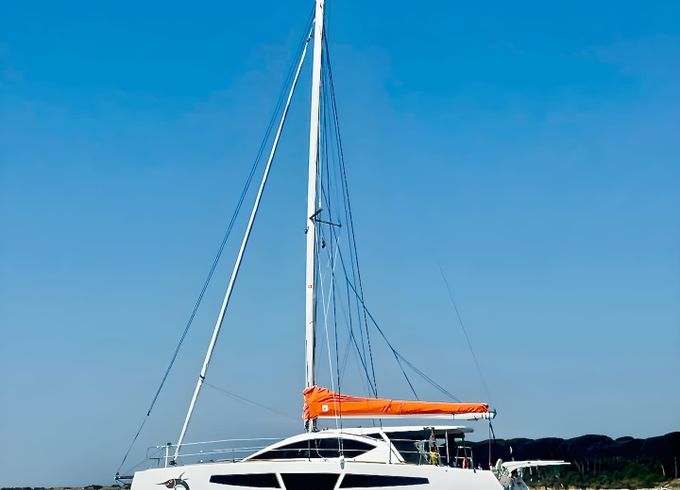 C-CAT 37