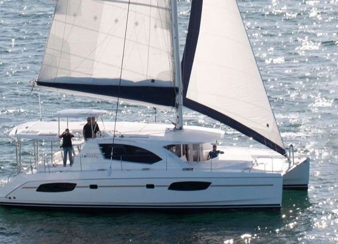Leopard 44