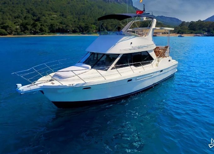 Bayliner 4388 Motoryacht