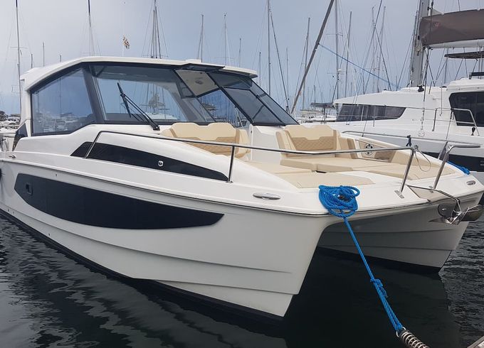 Aquila 36
