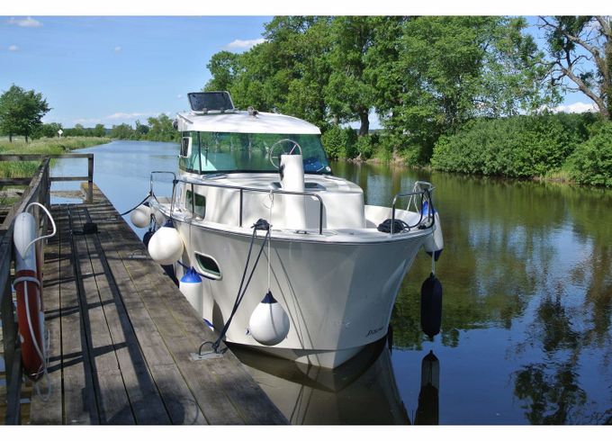 Delphia Escape 800