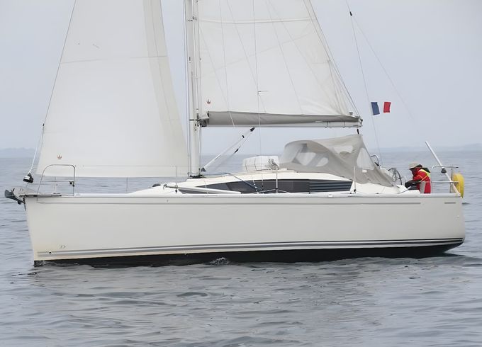 Delphia 31