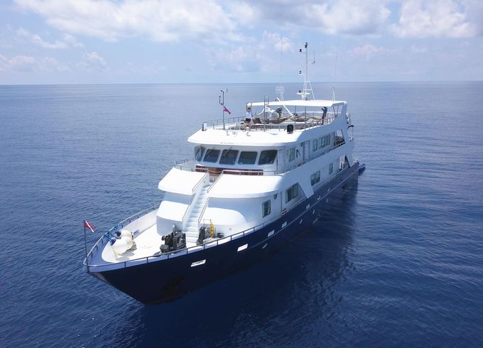 M/Y M/Y